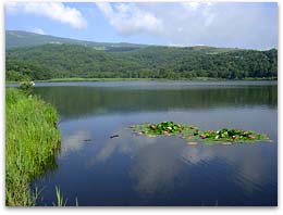 バラギ湖湖畔の風景